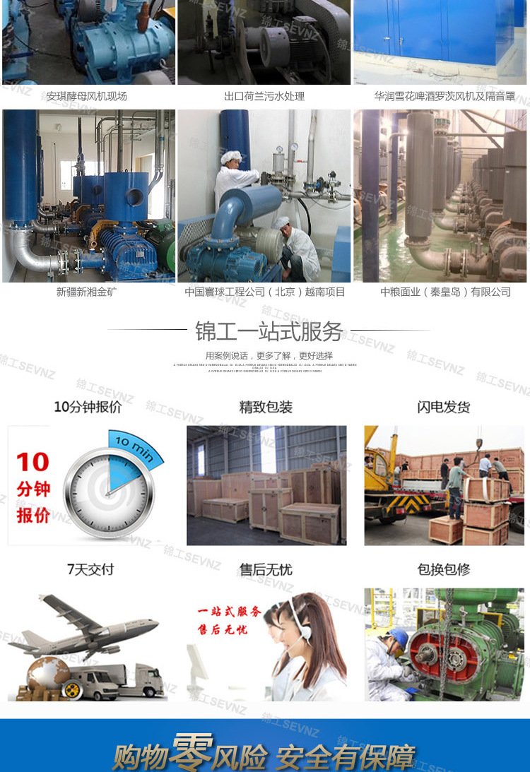 JGR系列羅茨鼓風(fēng)機(jī)